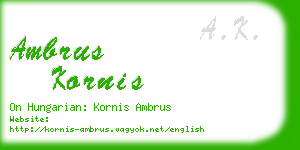 ambrus kornis business card